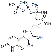 Structure of uridine 5-tetraphosphate