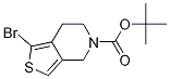 tert-butyl 1-bromo-6,7-dihydro-4H-thieno[3,4-c]pyridine-5-carboxylate结构式