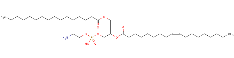 1-palmitoyl-2-oleoylphosphatidylethanolamine结构式