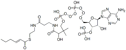 Structure of S-[2-[3-[[4-[[[(2R,3S,4R,5R)-5-(6-aminopurin-9-yl)-4-hydroxy-3-phosphonooxyoxolan-2-yl]methoxy-hydroxyphosphoryl]oxy-hydroxyphosphoryl]oxy-2-hydroxy-3,3-dimethylbutanoyl]amino]propanoylamino]ethyl] (E)-hex-2-enethioate