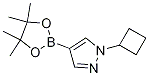 Structure of 1-cyclobutyl-4-(4,4,5,5-tetramethyl-1,3,2-dioxaborolan-2-yl)-1H-pyrazole