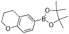 Structure of 2-(chroman-6-yl)-4,4,5,5-tetramethyl-1,3,2-dioxaborolane