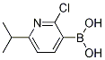 Structure of 2-CHLORO-6-ISOPROPYLPYRIDINE-3-BORONIC ACID