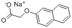Structure of BETA-NAPHTHOXYACETIC ACID SODIUM SALT
