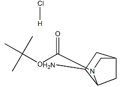 Cas Number: 1005077-74-6