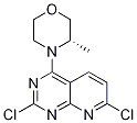Structure of (S)-4-(2,7-dichloropyrido[2,3-d]pyrimidin-4-yl)-3-methylmorpholine