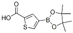 Structure of 2-CARBOXYTHIOPHENE-4-BORONIC ACID PINACOL ESTER