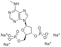 Structure of 2-DEOXY-N6-METHYLADENOSINE 3,5-BISPHOSPHATE TETRAAMMONIUM SALT