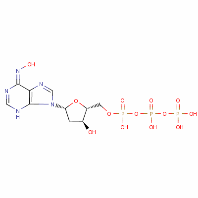 Structure of 6-N-hydroxylaminopurine deoxynucleoside triphosphate