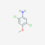 Structure of 2,5-DICHLORO-4-METHOXYANILINE