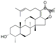 Structure of (3α,4α,8α,9β,13α,14β,16β,17Z)-16-(Acetyloxy)-3-hydroxy-29-nordaMMara-17(20),24-dien-21-oic Acid
