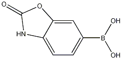 (2-oxo-3H-1,3-benzoxazol-6-yl)boronic acid结构式