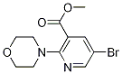 Structure of Methyl 5-bromo-2-morpholin-4-ylpyridine-3-carboxylate