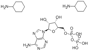 Structure of ADENOSINE 5-DIPHOSPHATE DI(MONOCYCLOHEXYLAMMONIUM) SALT