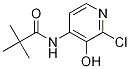 Structure of N-(2-Chloro-3-hydroxypyridin-4-yl)pivalamide
