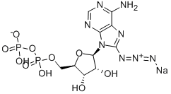 Structure of 8-AZIDOADENOSINE-5-O-DIPHOSPHATE SODIUM SALT