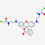 Structure of N,N'-BIS[2-(CHLOROACETAMIDO)ETHYL]-N,N'-DIMETHYLRHODAMINE