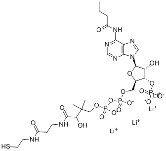 Structure of N-BUTYRYL COENZYME A LITHIUM SALT