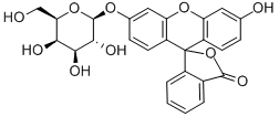 Structure of FLUORESCEIN MONO-BETA-D-GALACTOPYRANOSIDE