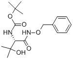 Structure of (S)-2-(N-BOC-AMINO)-N-BENZYLOXY-3-HYDROXY-3-METHYLBUTYRAMIDE