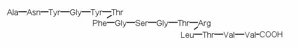Structure of joining segment peptide, synthetic