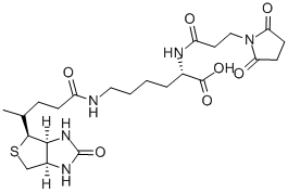 Structure of N-(3-MALEIMIDOPROPIONYL)BIOCYTIN