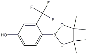 Structure of 4-(4,4,5,5-Tetramethyl-1,3,2-dioxaborolan-2-yl)-3-(trifluoromethyl)phenol
