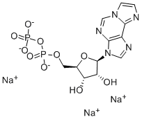 Structure of 1,N6-ETHENOADENOSINE-5-DIPHOSPHATE SODIUM SALT