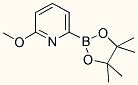 Structure of 6-METHOXYPYRIDINE-2-BORONIC ACID PINACOL ESTER