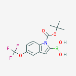 Structure of 1-(TERT-BUTOXYCARBONYL)-5-(TRIFLUOROMETHOXY)INDOLE-2-BORONIC ACID