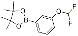 Structure of 2-(3-(difluoromethoxy)phenyl)-4,4,5,5-tetramethyl-1,3,2-dioxaborolane