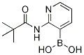 Structure of 2-Pivalamidopyridine-3-Boronic Acid