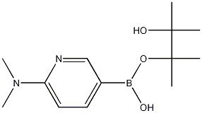2-(二甲基氨基)吡啶-5-硼酸频哪醇酯结构式