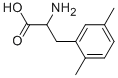 Structure of DL-2,5-Dimethylphenylalanine