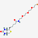 Structure of 1-BIOTINYLAMINO-3,6,9-TRIOXAUNDECANE-11-BROMIDE