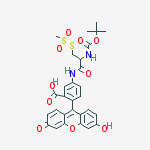 Structure of (L)-2-[(T-BOC)AMINO]-2-[(5-FLUORESCEINYL)AMINOCARBONYL]ETHYL METHANETHIOSULFONATE
