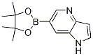 Structure of 1H-PYRROLO[3,2-B]PYRIDINE-6-BORONIC ACID PINACOL ESTER
