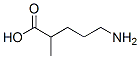 Structure of 5-Amino-2-methylpentanoic acid