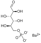 Structure of D-MANNOSE 6-PHOSPHATE BARIUM SALT