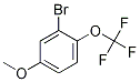 Structure of 3-bromo-4-trifluoromethoxyanisole