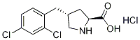 Structure of trans-4-(2,4-dichlorobenzyl)-L-proline hydrochloride;(2S,4R)-4-(2,4-Dichlorobenzyl)pyrrolidine-2-carboxylic acid hydrochloride