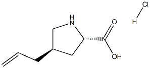 Structure of (2S,4R)-4-allylpyrrolidine-2-carboxylic acid hydrochloride