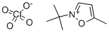 Structure of N-TERT-BUTYL-5-METHYLISOXAZOLIUM PERCHLORATE