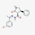 Structure of (±)-(3R*,4S*)-2-Oxo-4-phenyl-3-pyrollidinecarboxylicacid2-[1-(3-bromophenyl)ethylidene]hydrazide