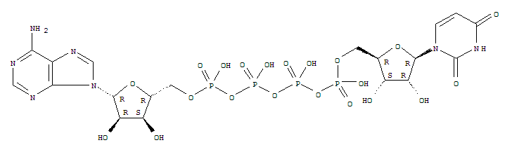 Structure of adenosine(5)tetraphosphate uridine