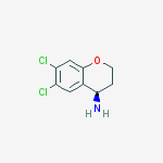(4R)-6,7-dichloro-3,4-dihydro-2H-chromen-4-amine结构式