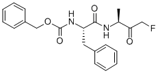 Structure of NEGATIVE CONTROL INHIBITOR FOR ICE PROTEASES