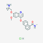 Structure of 6-[[7-[(1-Aminocyclopropyl)methoxy]-6-methoxy-4-quinolinyl]oxy]-N-methyl-1-naphthalenecarboxamide hydrochloride (1:1)