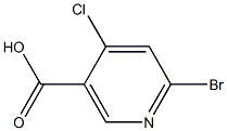 Structure of 6-broMo-4-chloronicotinic acid