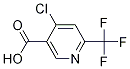 Structure of 4-Chloro-6-trifluoroMethyl-nicotinic acid